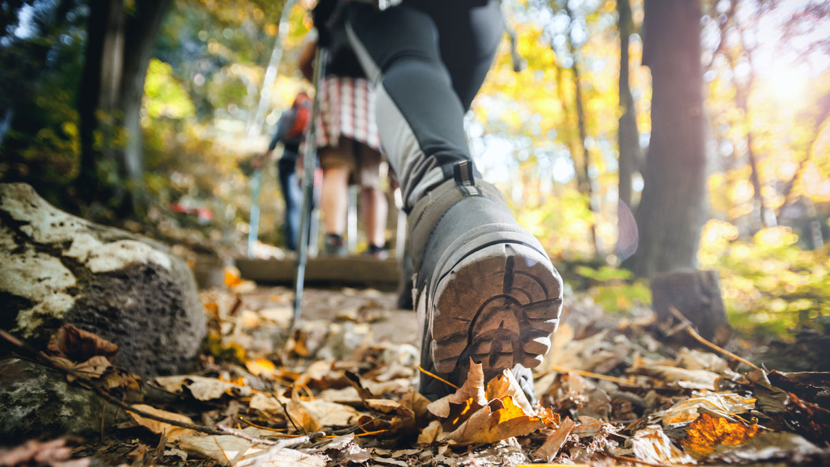 Hiker walking a forest trail in the Taos area
